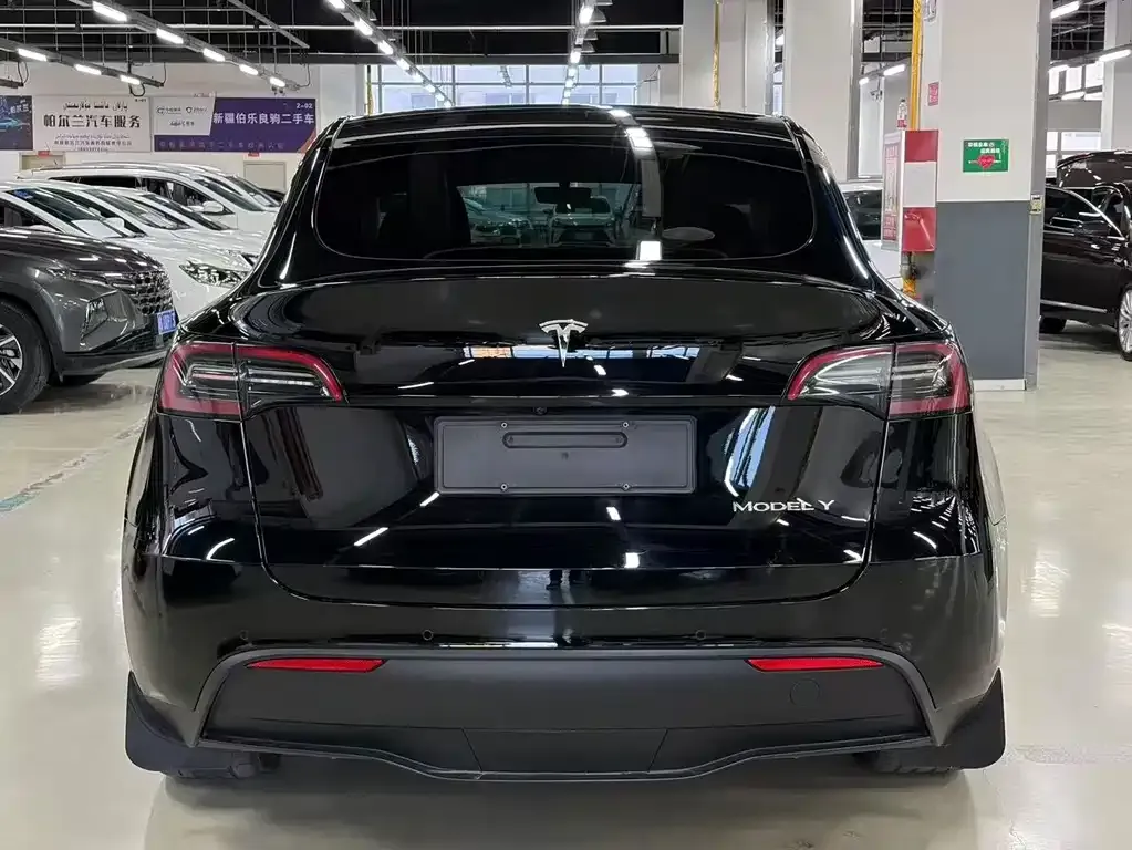Tesla Model Y — фото 9