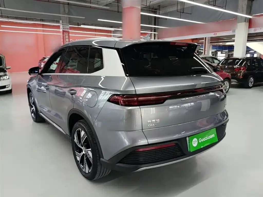 BYD Pro New Energy — фото 2