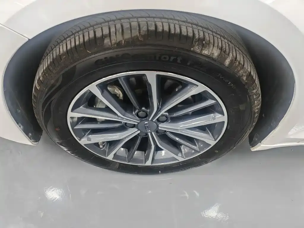 Geely Xingrui 2023 из CN, фото 4