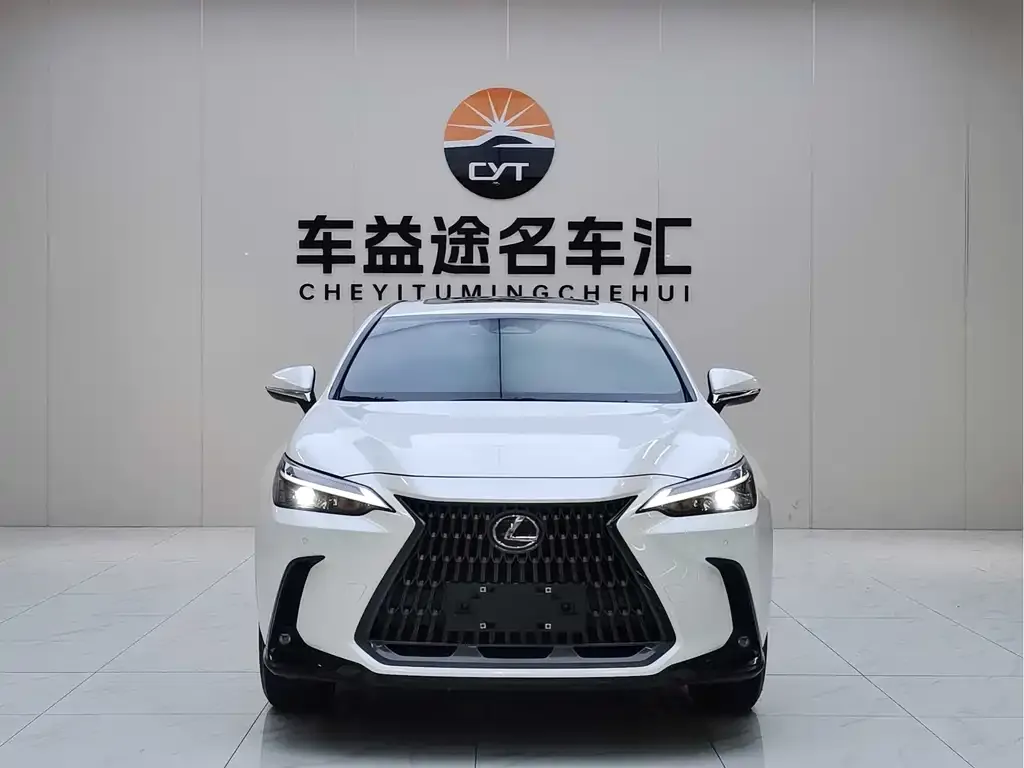 Lexus NX 2023 из CN, фото 6