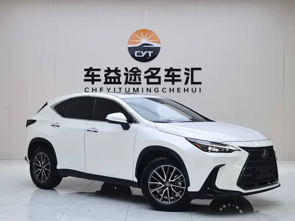 Lexus NX 2023 из CN, фото 5