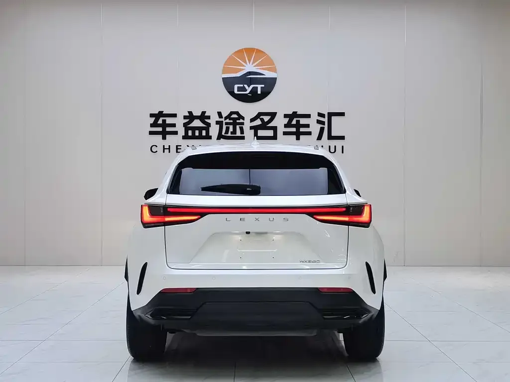Lexus NX 2023 из CN, фото 3