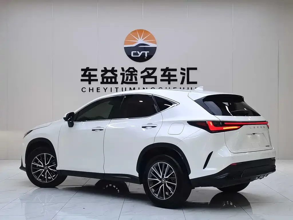 Lexus NX 2023 из CN, фото 2