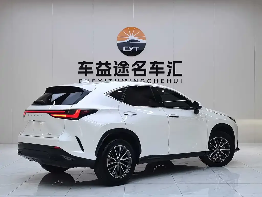 Lexus NX 2023 из CN, фото 7