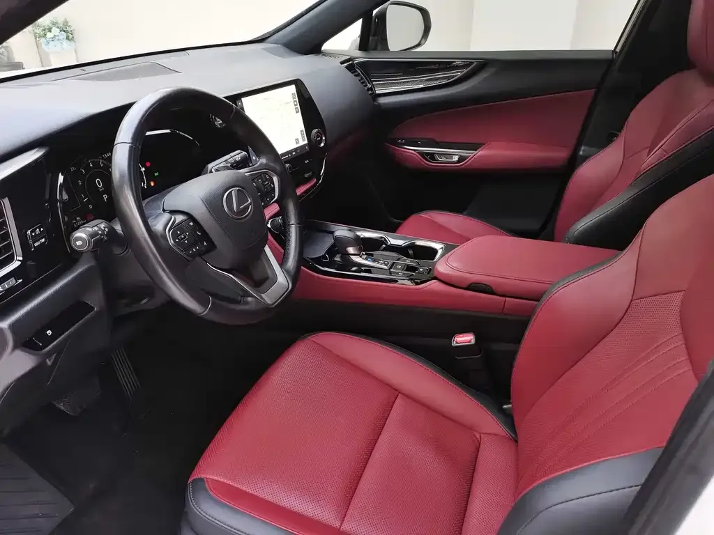 Lexus NX 2023 из CN, фото 8