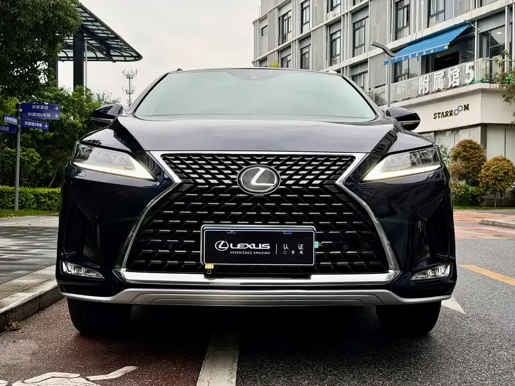 Lexus RX — фото 6