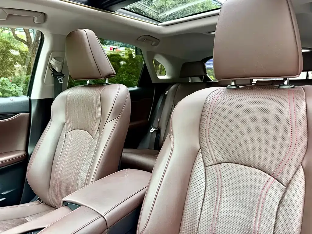 Lexus RX — фото 9