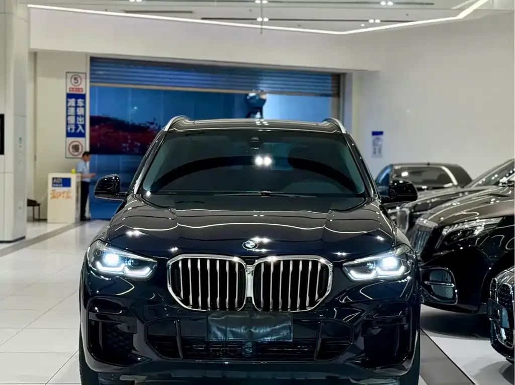 BMW X5 (Import) 2022 из CN, фото 6