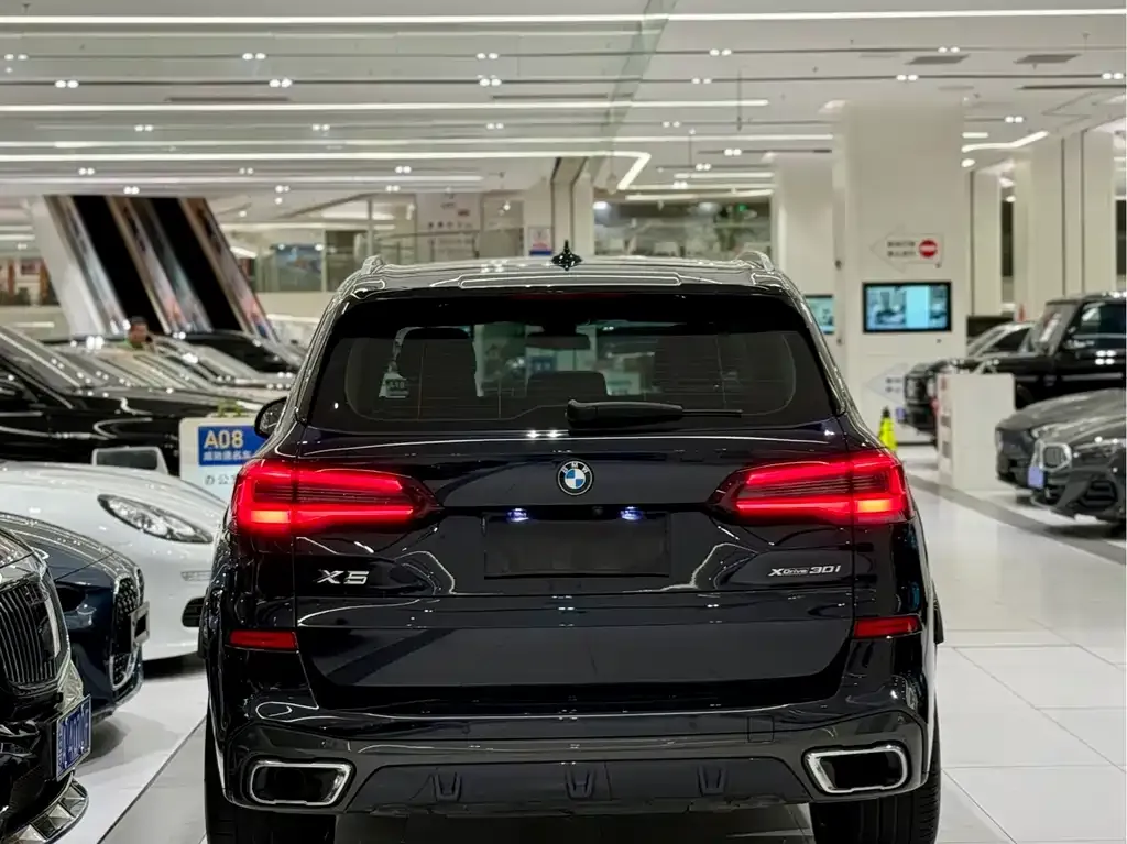 BMW X5 (Import) 2022 из CN, фото 9