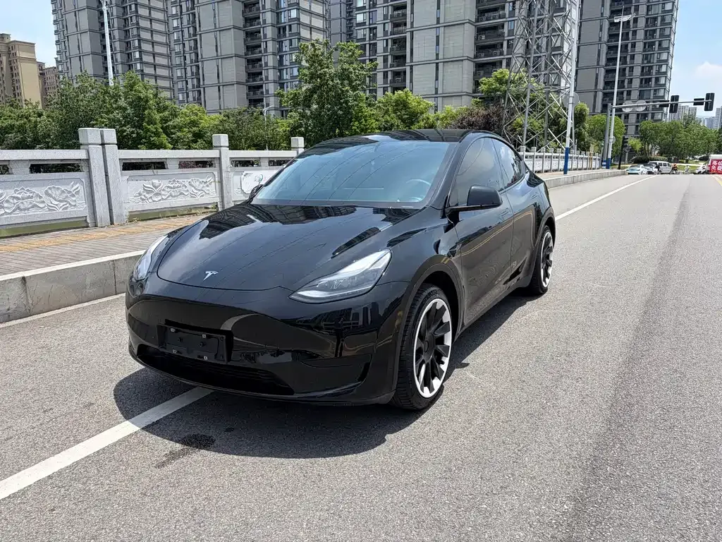 Tesla Model Y — фото 1