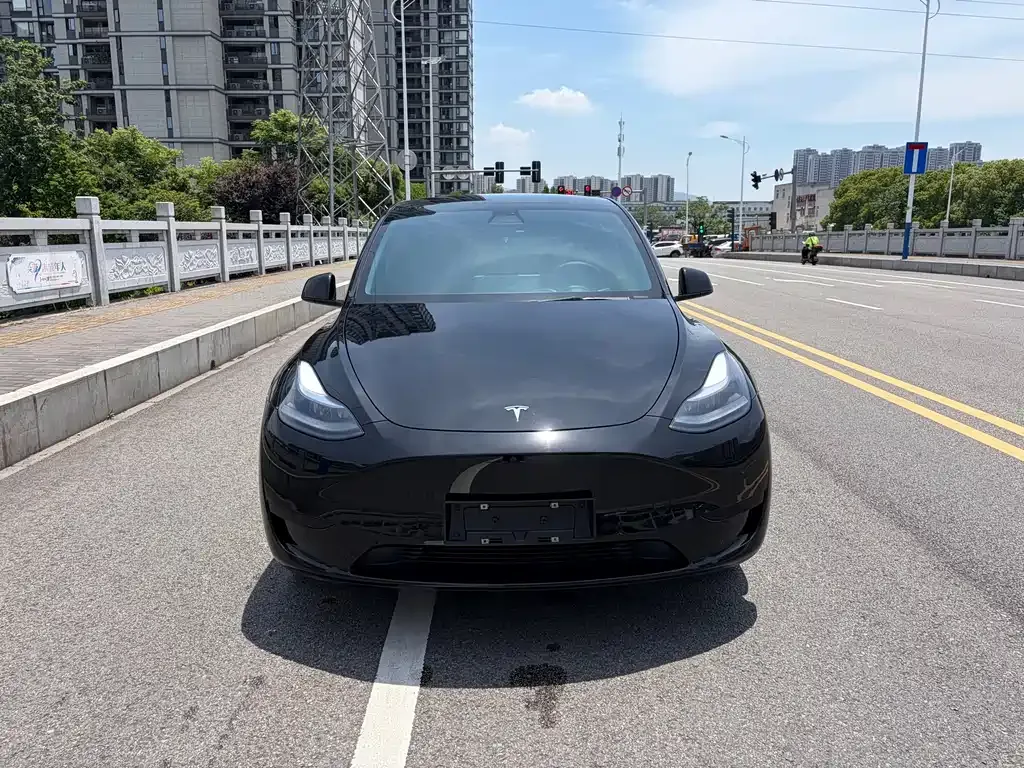 Tesla Model Y — фото 10