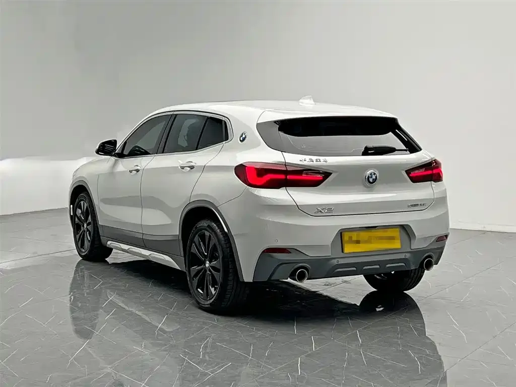 BMW X2 2023 из CN, фото 9