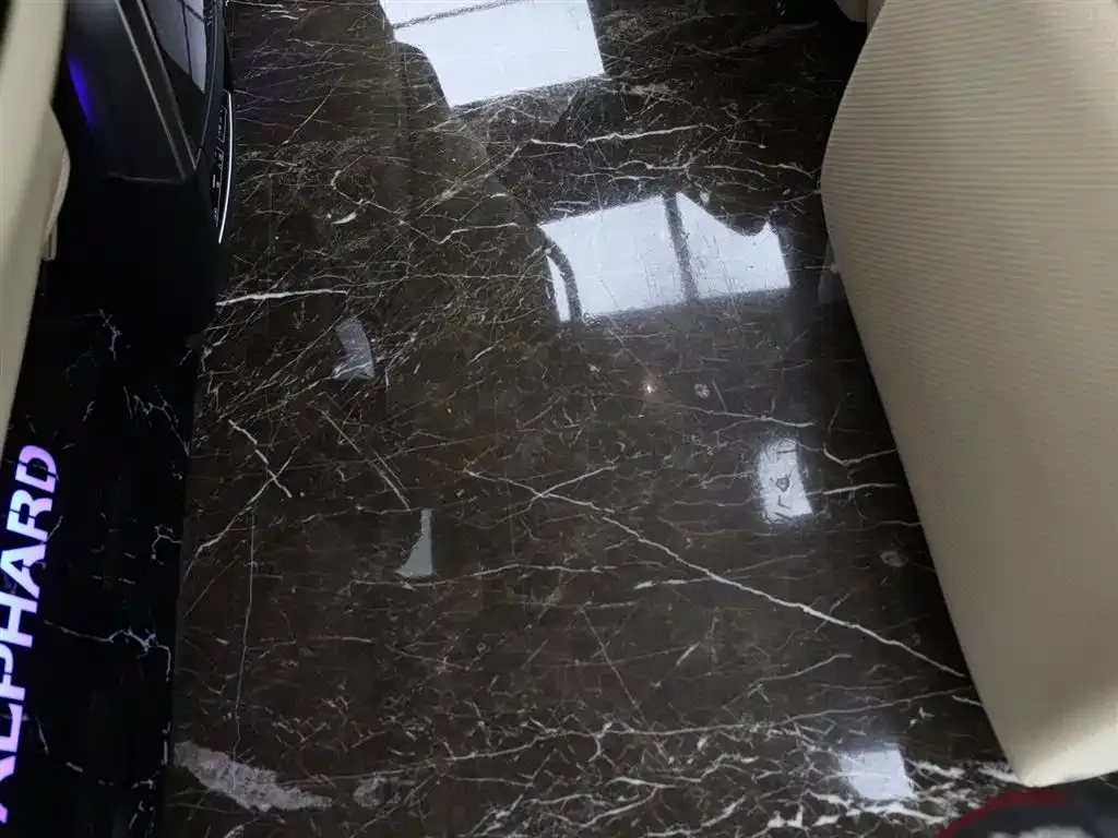 Toyota Alphard — фото 7
