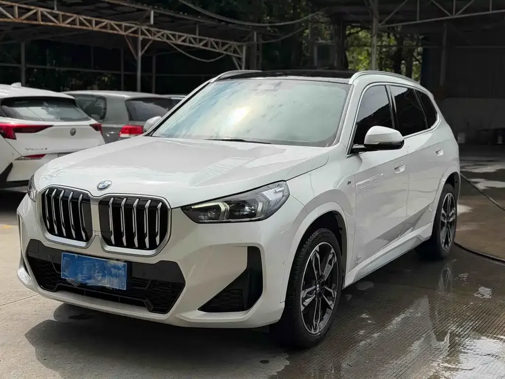 BMW X1 — фото 1