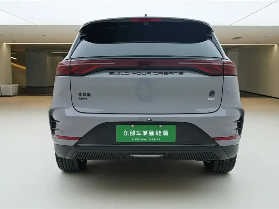 BYD Tang New Energy — фото 5