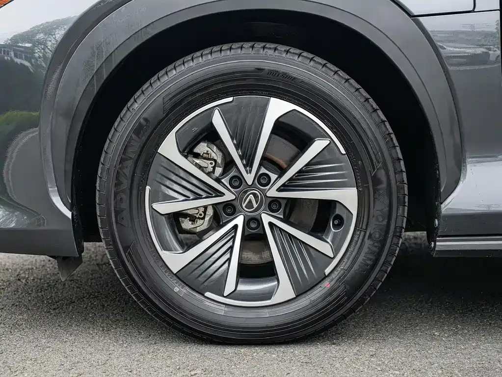 Lexus RZ — фото 10