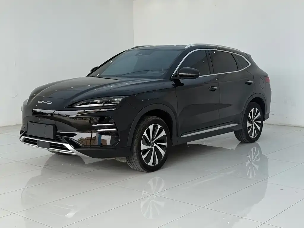 BYD PLUS New Energy — фото 2