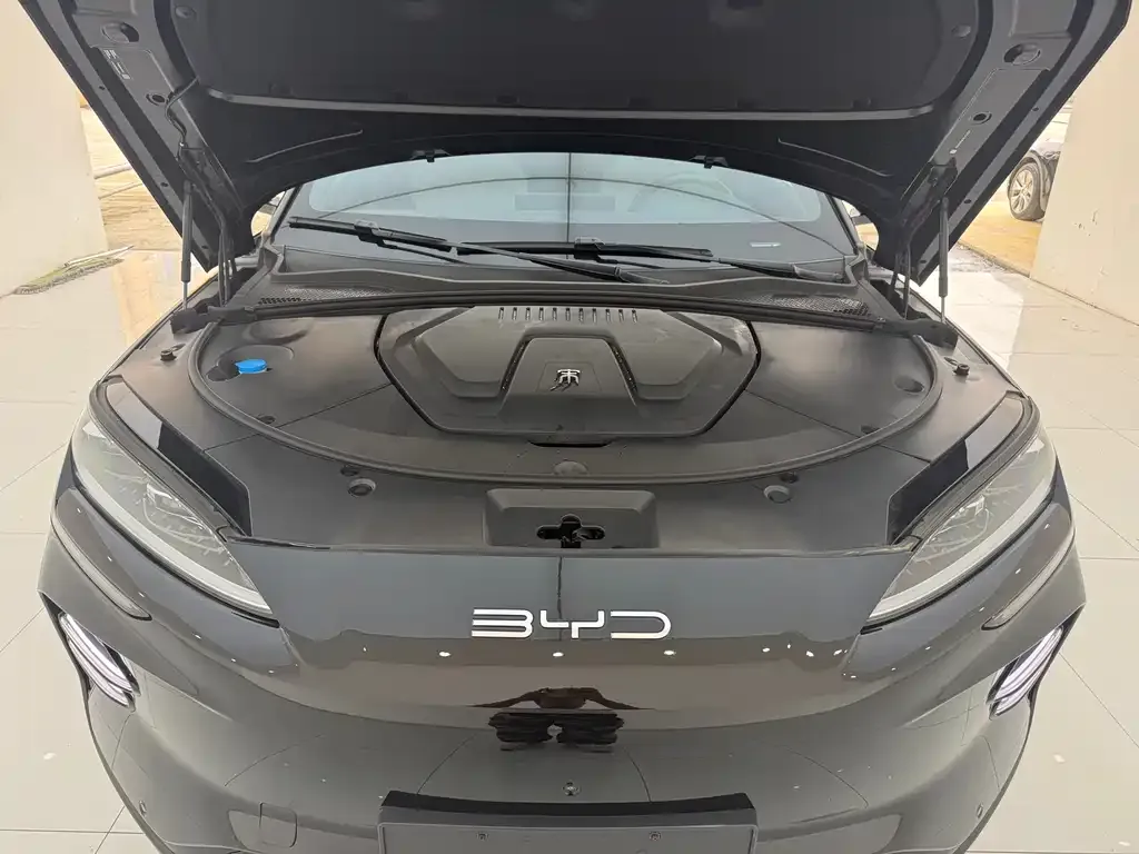 BYD PLUS New Energy — фото 10