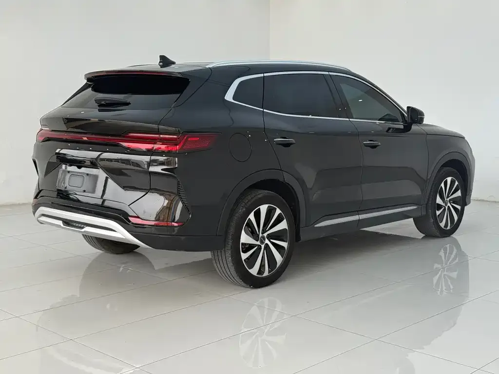 BYD PLUS New Energy — фото 4