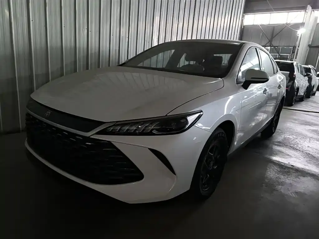 BYD Qin PLUS — фото 1