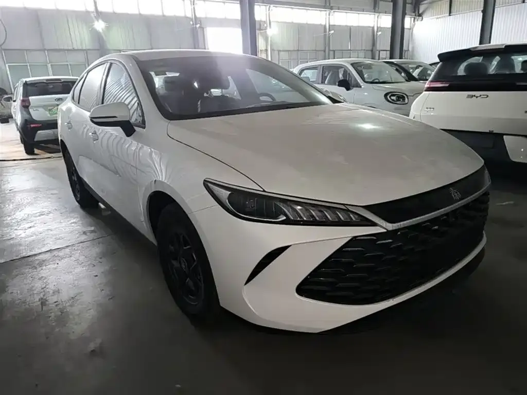 BYD Qin PLUS — фото 7