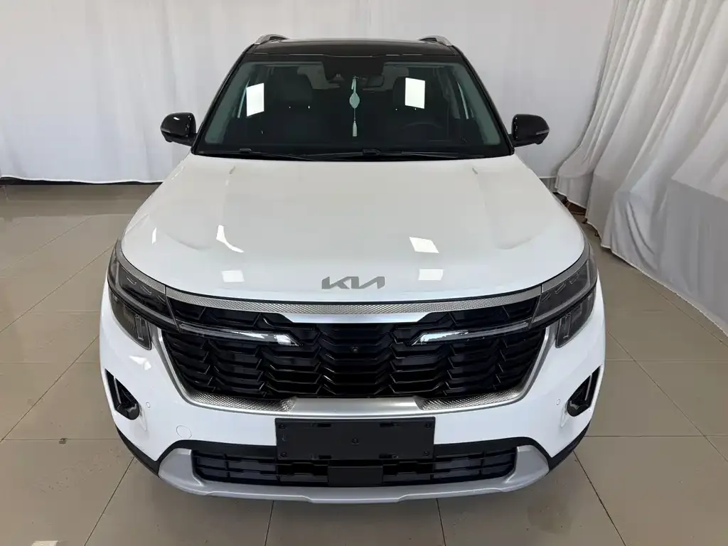Kia Seltos 2022 из CN, фото 2