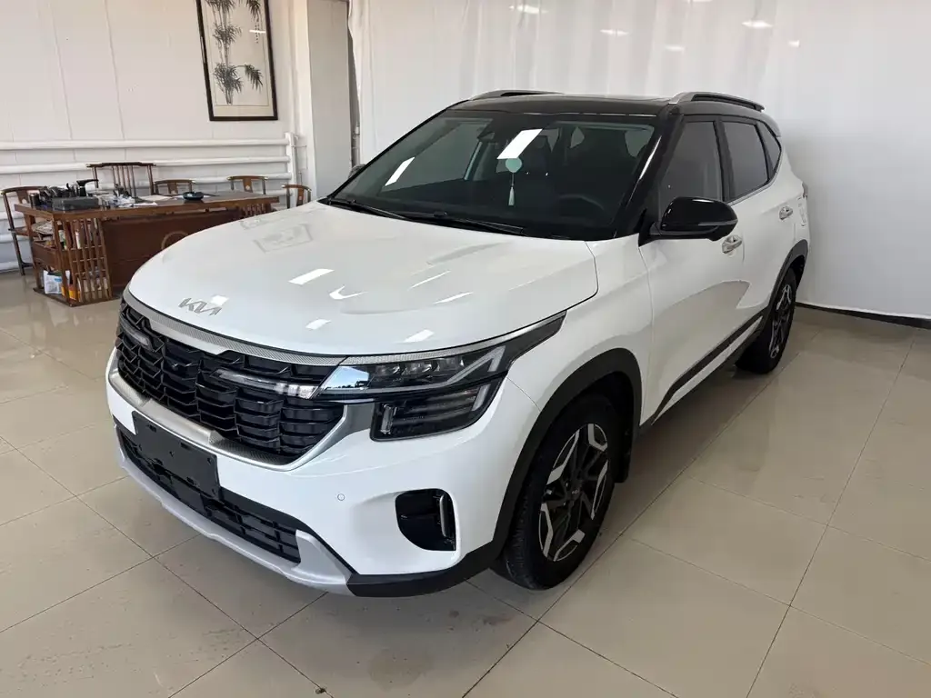 Kia Seltos 2022 из CN, фото 9