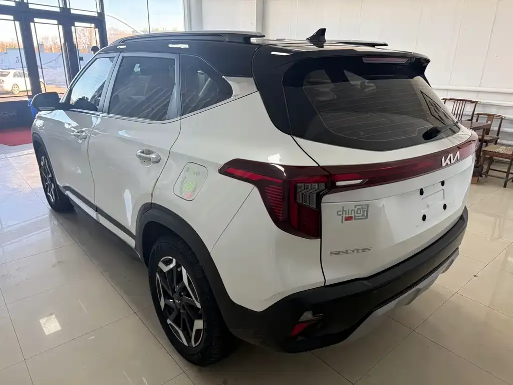 Kia Seltos 2022 из CN, фото 6