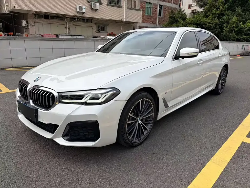 BMW 5 Series 2022 из CN, фото 1