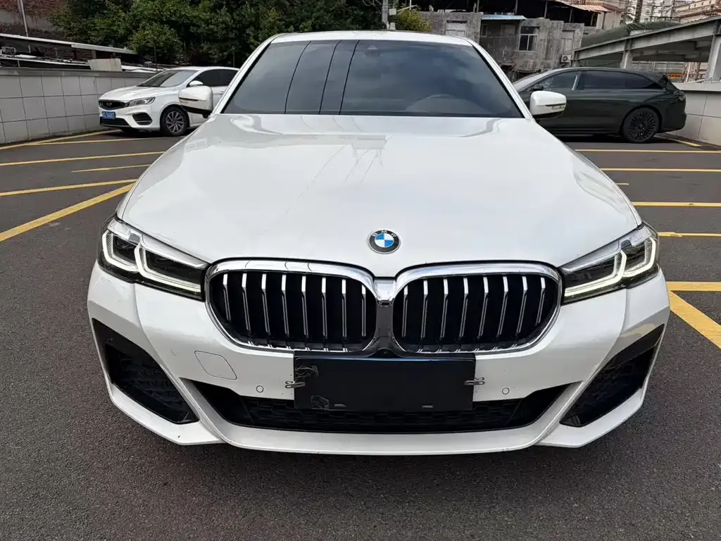 BMW 5 Series 2022 из CN, фото 5