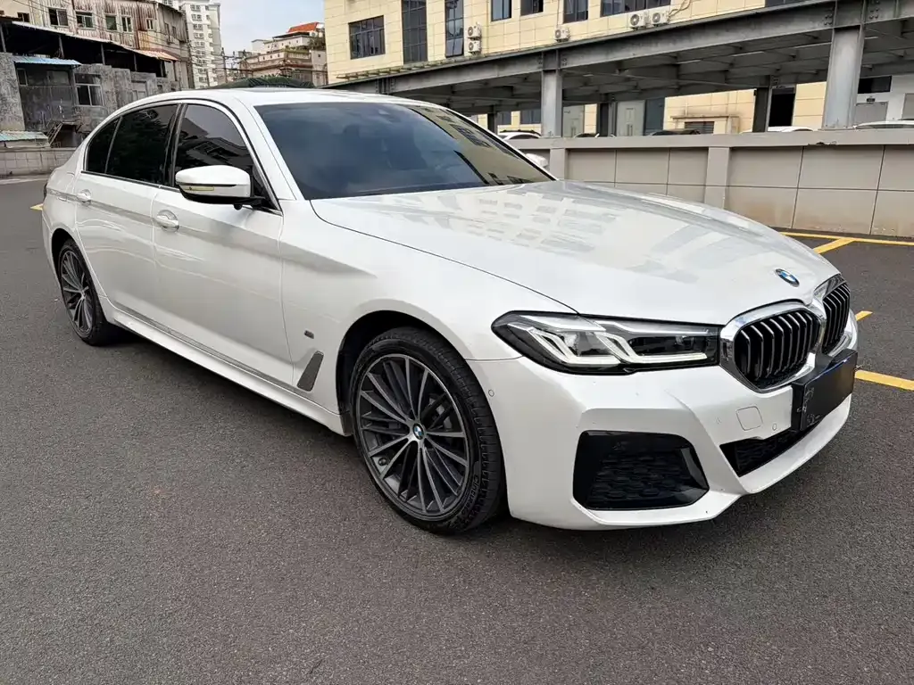 BMW 5 Series 2022 из CN, фото 7