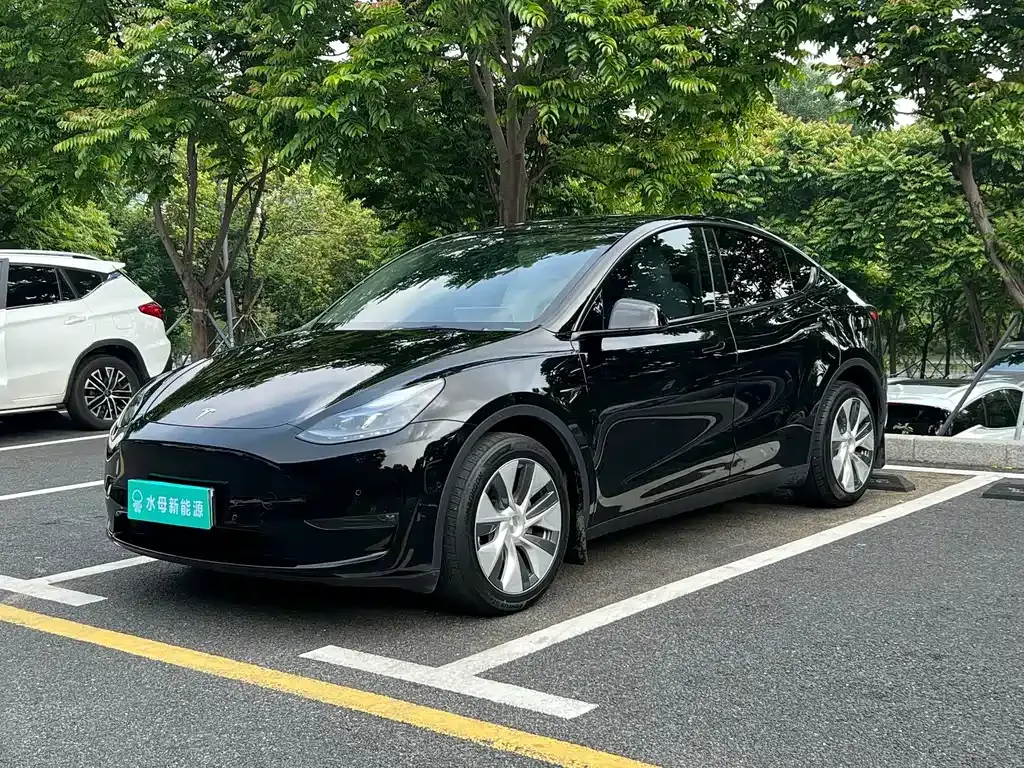 Tesla Model Y — фото 1
