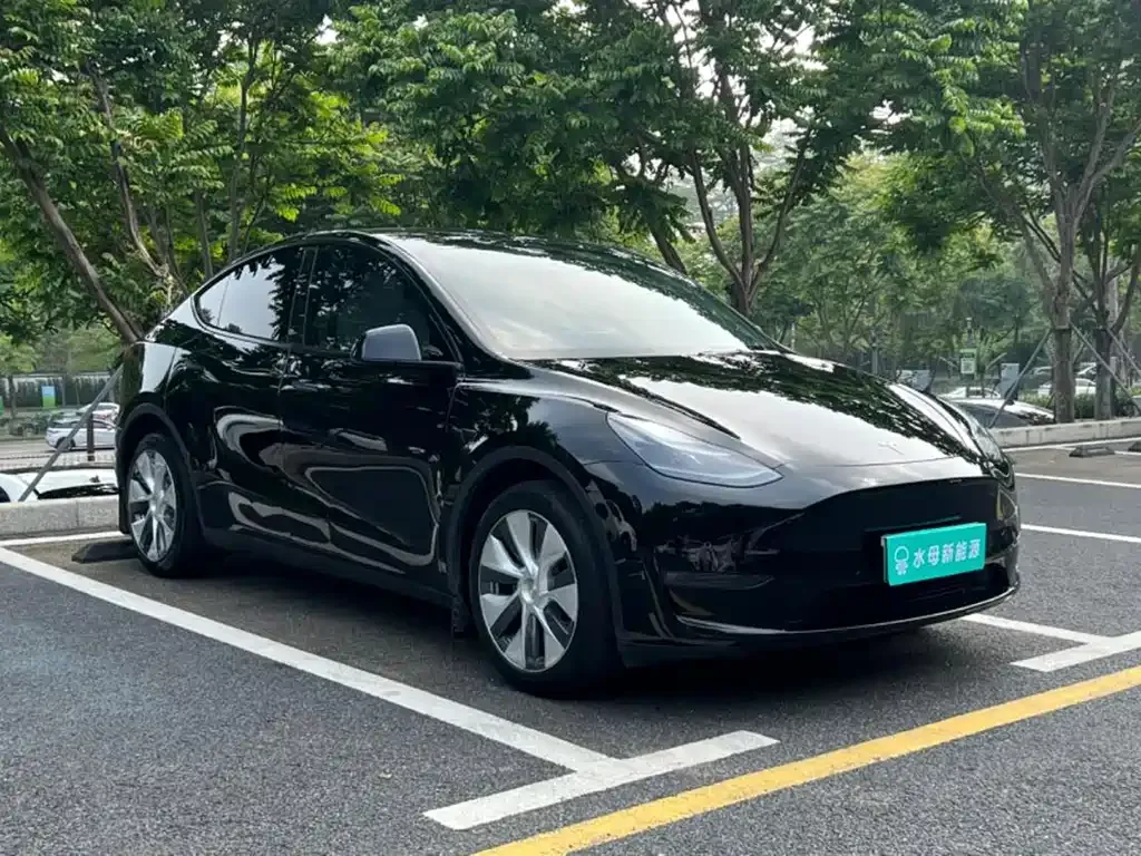 Tesla Model Y — фото 9