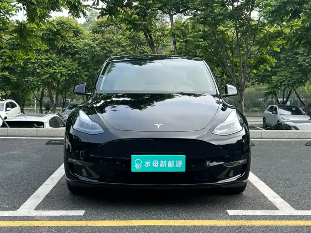 Tesla Model Y — фото 6