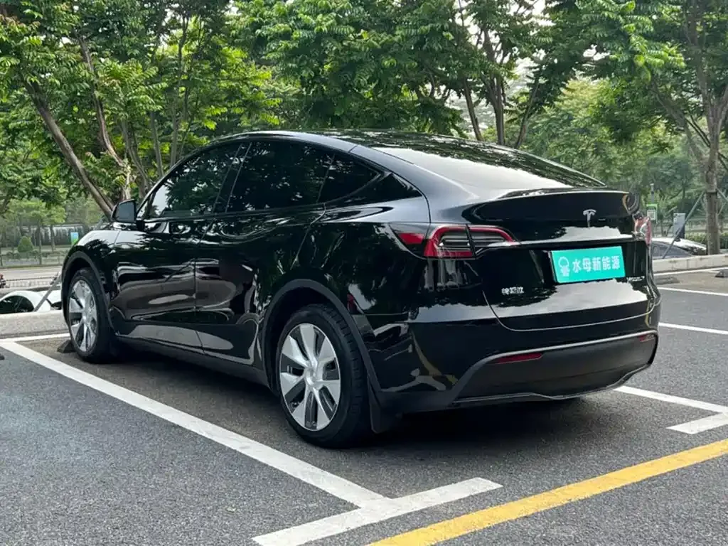 Tesla Model Y — фото 8