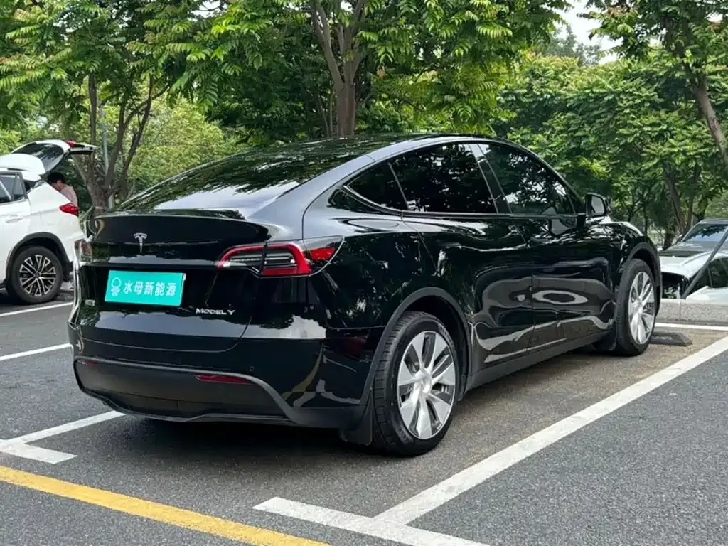 Tesla Model Y — фото 10