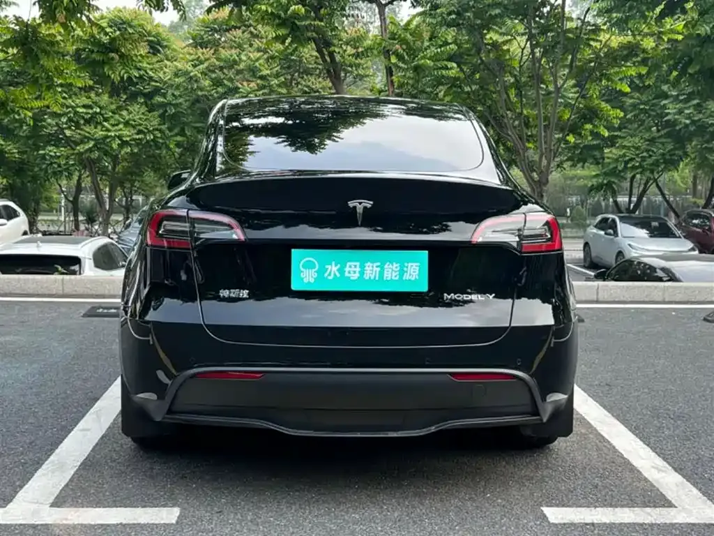 Tesla Model Y — фото 7