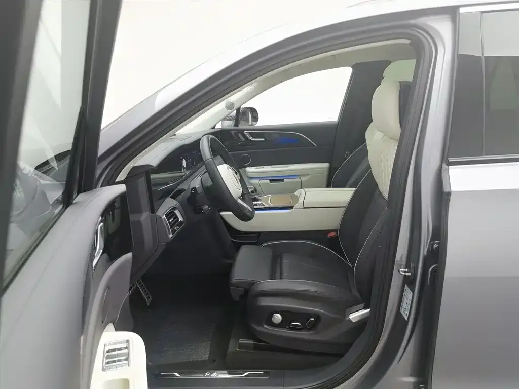 Hongqi E-HS9 2023 из CN, фото 3