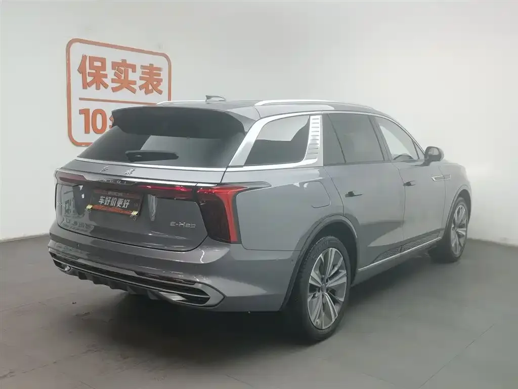 Hongqi E-HS9 2023 из CN, фото 2