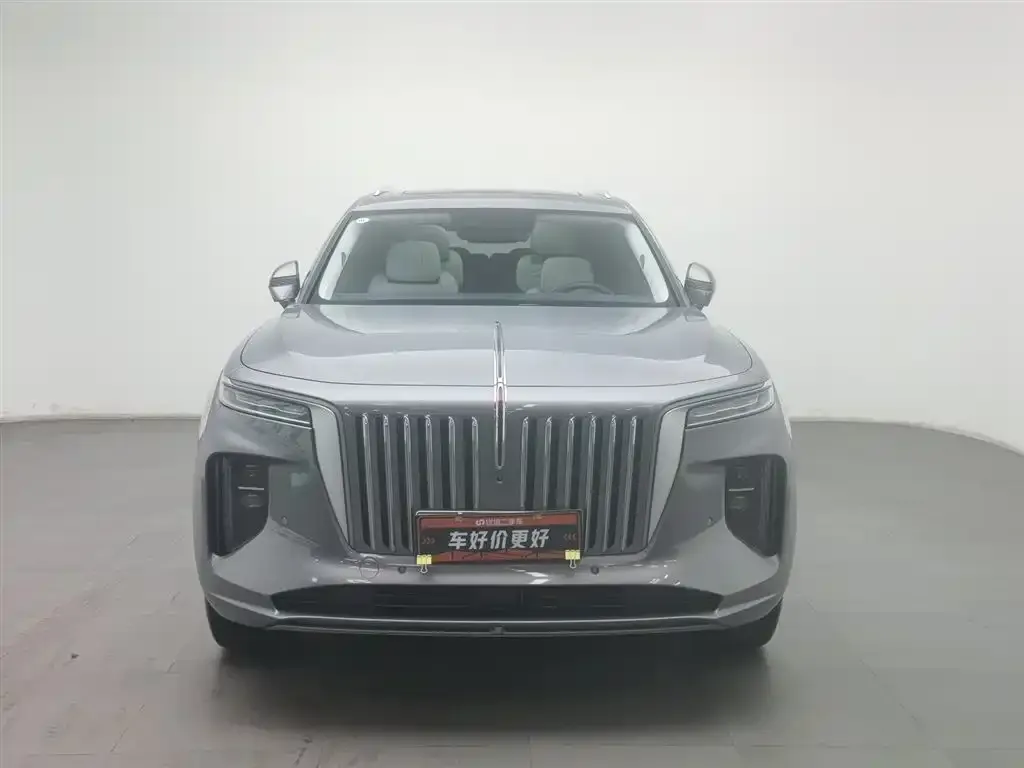 Hongqi E-HS9 2023 из CN, фото 4