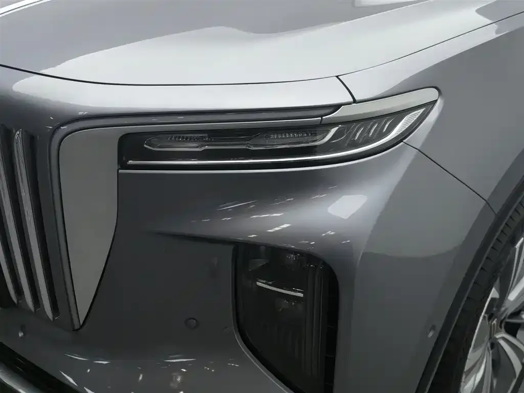 Hongqi E-HS9 2023 из CN, фото 6