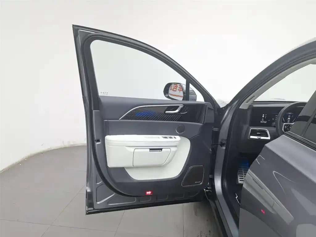 Hongqi E-HS9 2023 из CN, фото 7
