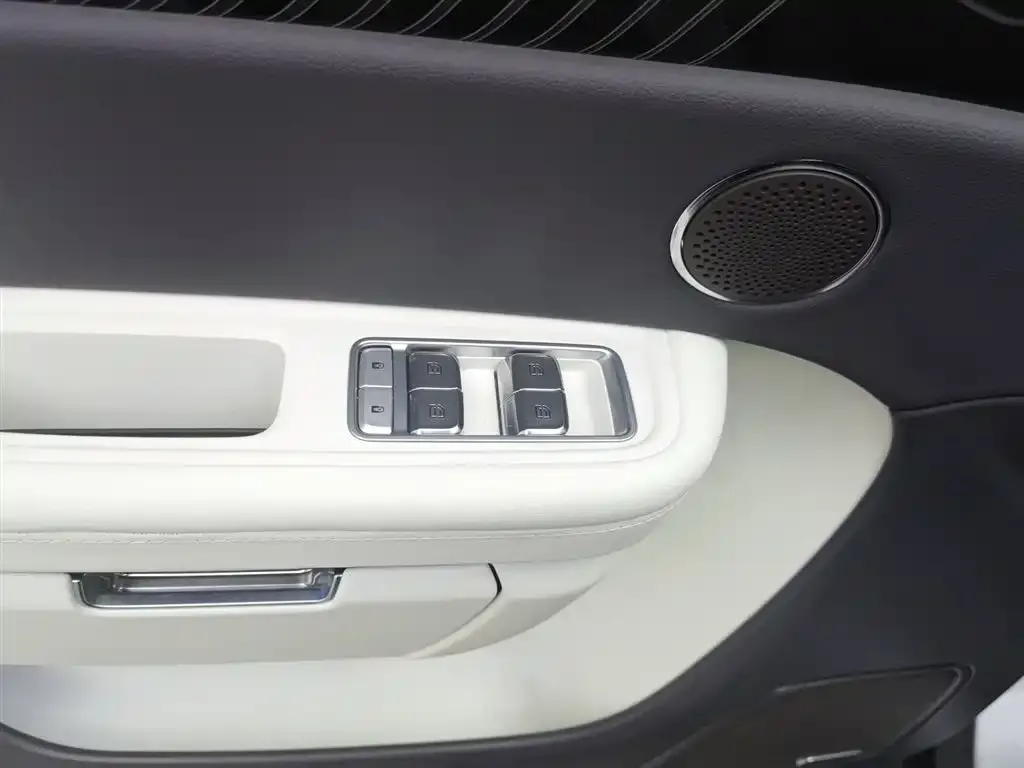 Hongqi E-HS9 2023 из CN, фото 5