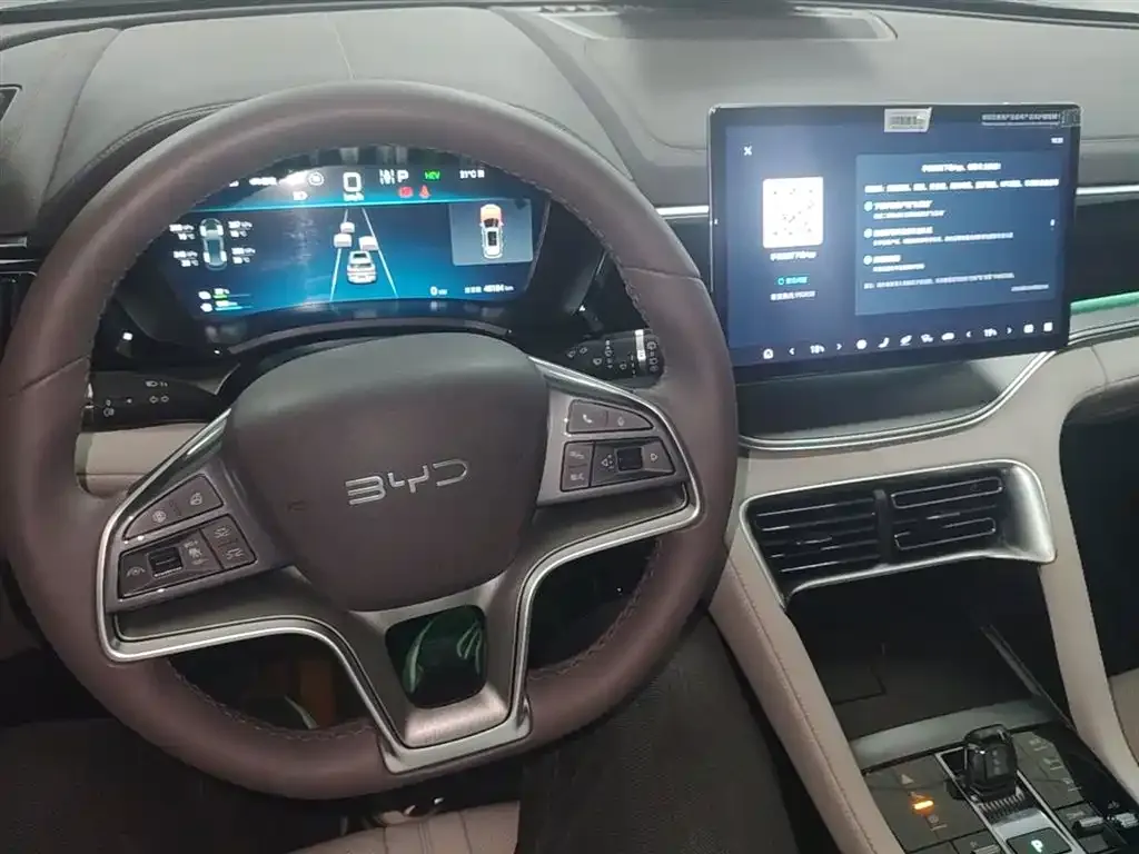 BYD PLUS New Energy — фото 10