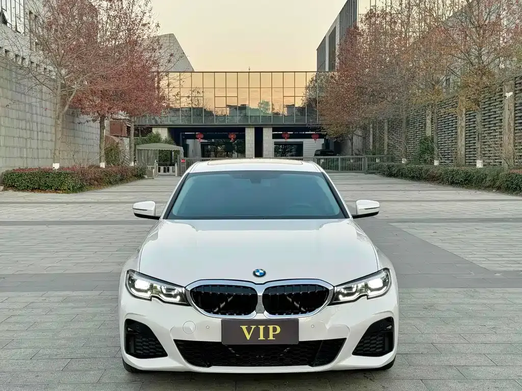 BMW 3 Series 2021 из CN, фото 4