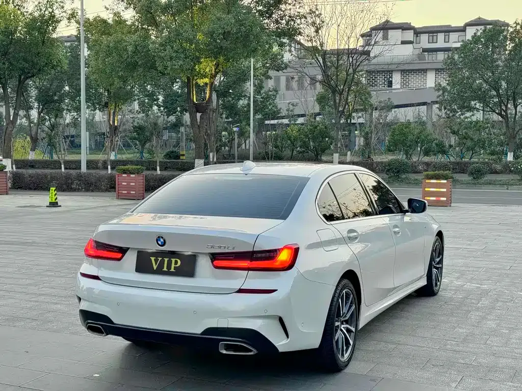 BMW 3 Series 2021 из CN, фото 6