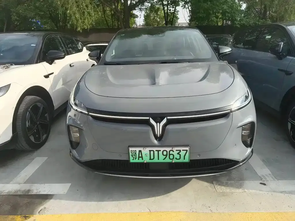 VOYAH Zhiyin