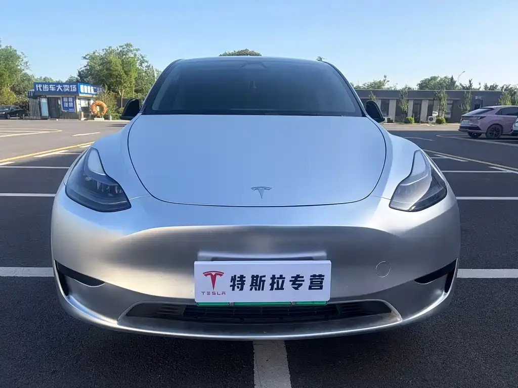 Tesla Model Y — фото 2