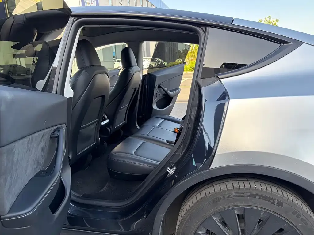 Tesla Model Y — фото 10