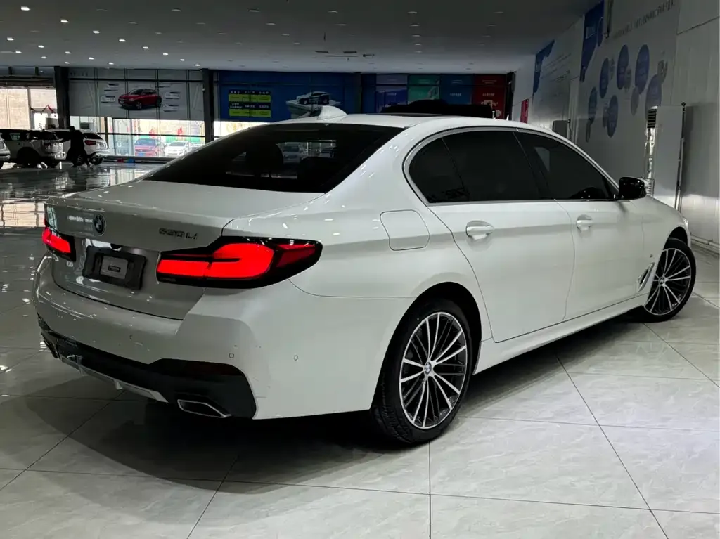 BMW 5 Series 2023 из CN, фото 6